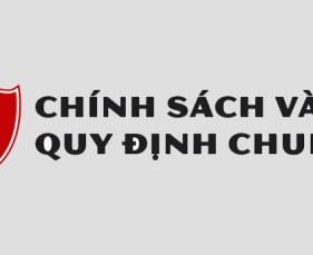 Chính sách quy định chung